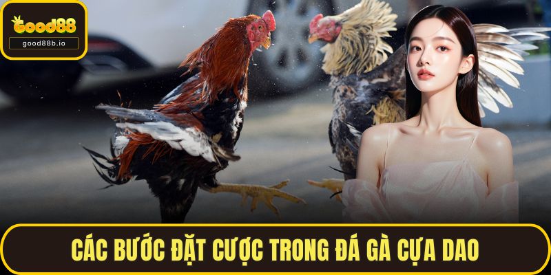 Đá Gà Cựa Dao Tại GOOD88 – Khám Phá Hình Thức Cược Hàng Đầu Các bước đặt cược trong đá gà cựa dao