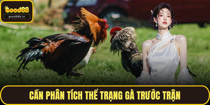 Đá Gà GOOD88 – Trải Nghiệm Đỉnh Cao Cho Những Người Đam Mê Cần phân tích thể trạng gà trước trận