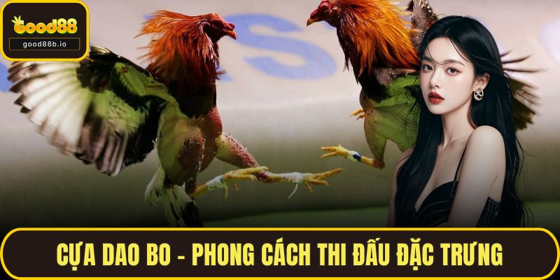 Đá Gà Cựa Dao Tại GOOD88 – Khám Phá Hình Thức Cược Hàng Đầu Cựa dao bo – phong cách thi đấu đặc trưng Philippines