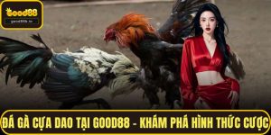 Đá Gà Cựa Dao Tại GOOD88 – Khám Phá Hình Thức Cược
