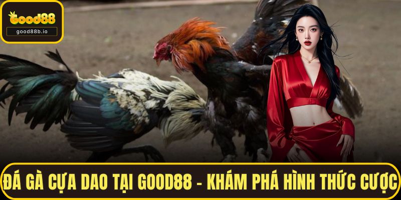 Đá Gà Cựa Dao Tại GOOD88 – Khám Phá Hình Thức Cược Hàng Đầu Đá Gà Cựa Dao Tại GOOD88 – Khám Phá Hình Thức Cược