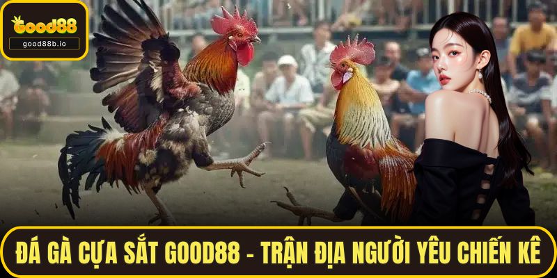 Đá Gà Cựa Sắt GOOD88 – Trận Địa Cho Những Người Yêu Chiến Kê Đá Gà Cựa Sắt GOOD88 – Trận Địa Cho Những Người Yêu Chiến Kê
