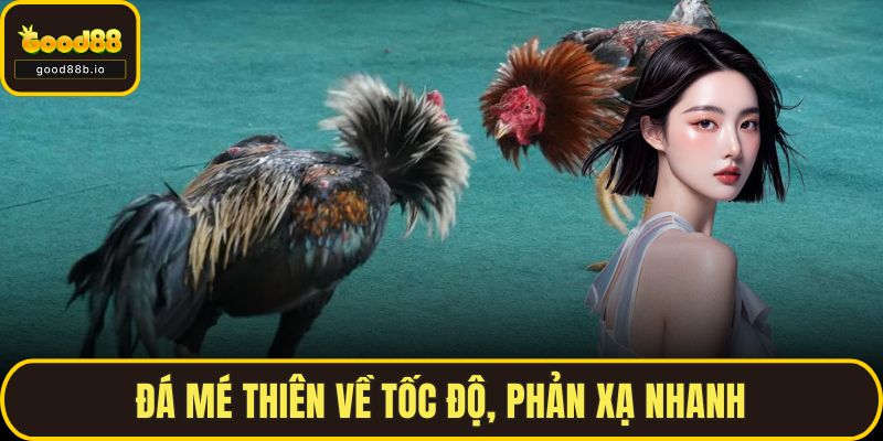 Đá Gà Chọi GOOD88 – Thế Giới Kịch Tính Của Chiến Kê Thực Thụ Đá mé thiên về tốc độ, phản xạ nhanh