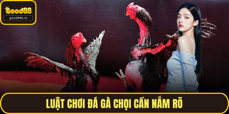 Đá Gà Chọi GOOD88 – Thế Giới Kịch Tính Của Chiến Kê Thực Thụ Luật chơi đá gà chọi cần nắm rõ