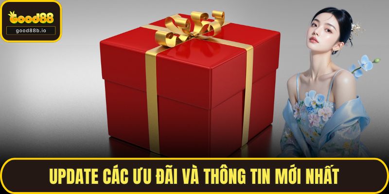 Update các ưu đãi và thông tin mới nhất