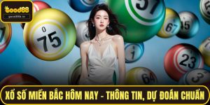 Xổ Số Miền Bắc Hôm Nay – Thông Tin, Dự Đoán Chuẩn