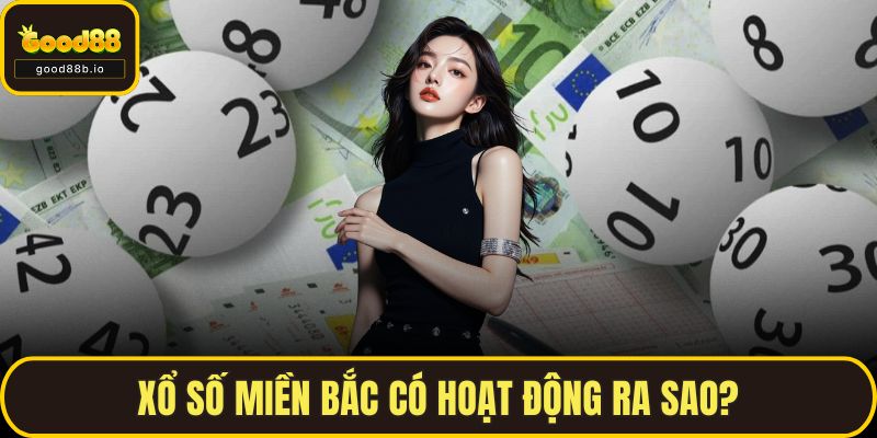 Xổ Số Miền Bắc Hôm Nay – Thông Tin, Dự Đoán Chuẩn Xác Nhất Xổ số miền Bắc có hoạt động ra sao?